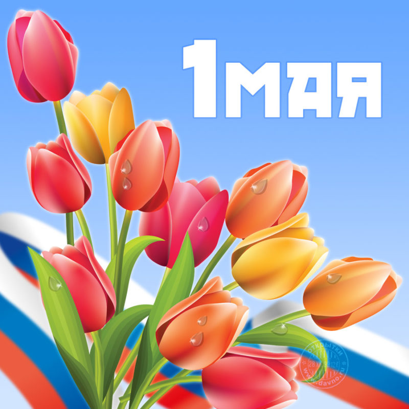 Мир. Труд. Май!