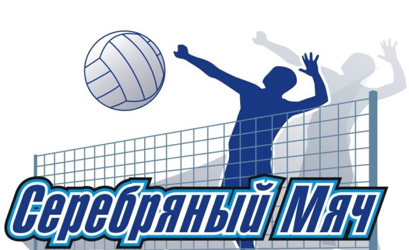 «Серебряный мяч» летит в югорские школы. ВФВ утвердила положение